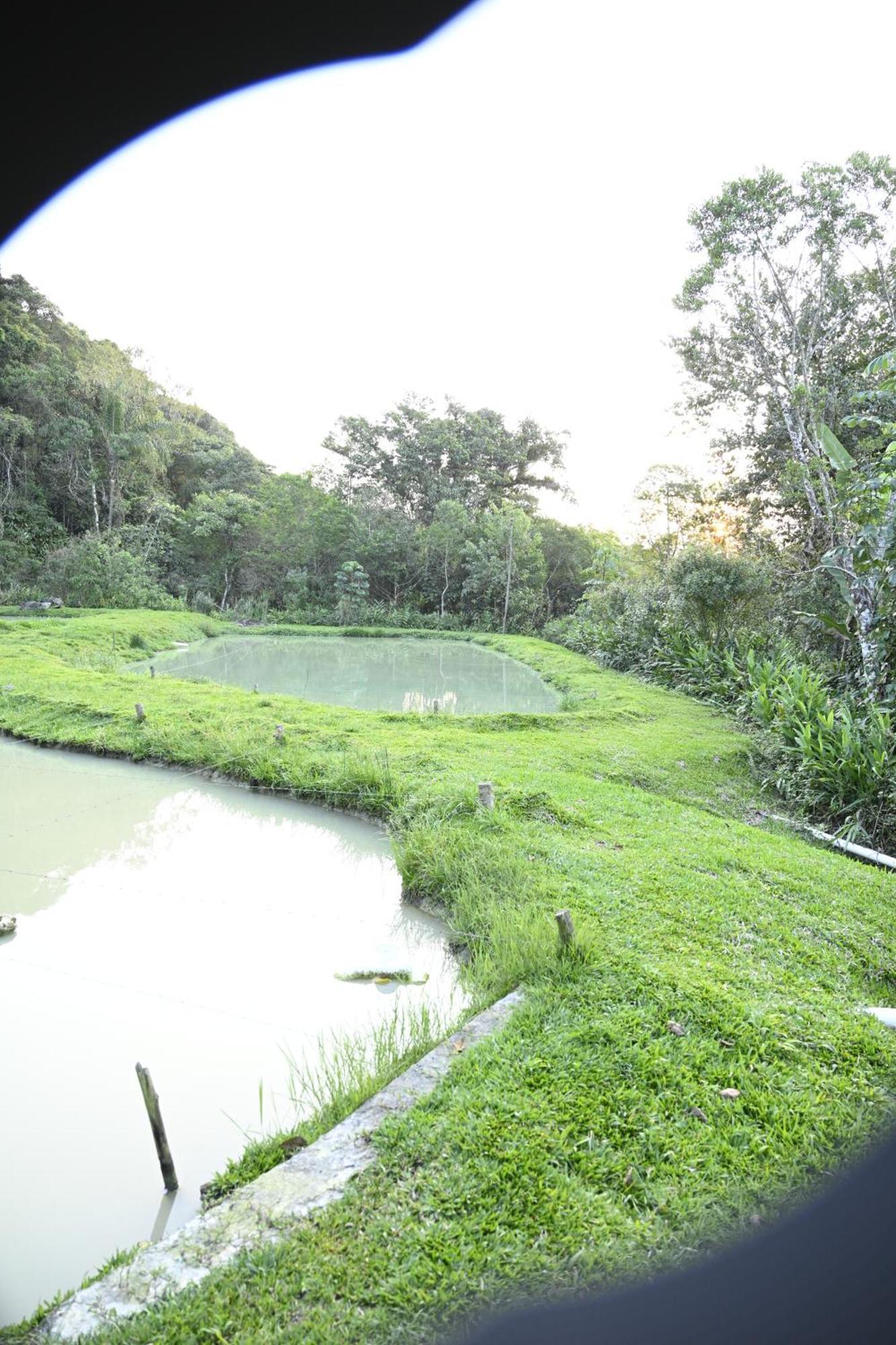 Recanto Vale Do Gigante Antonina Esterno foto